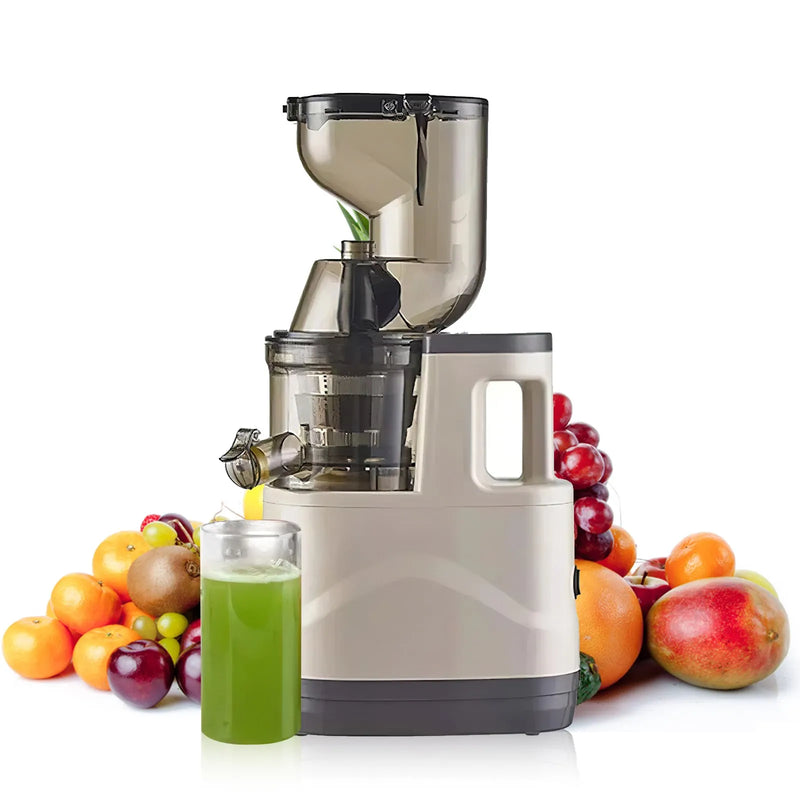 3.15" Large Chute Cold Press Juicer, 300W Slow Masticating, Pulp Separation for Fruits,Vegetables,High Juice Yield,Easy to Clean